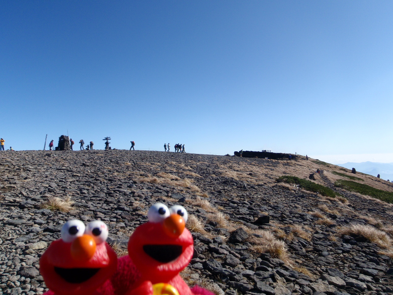 d0034291_8405395.jpg