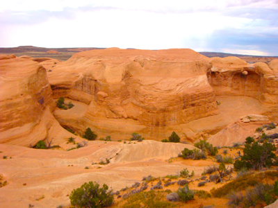 e0161692_2341658.jpg