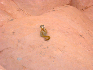 e0161692_2373780.jpg
