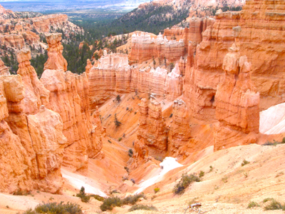 e0161692_3395876.jpg
