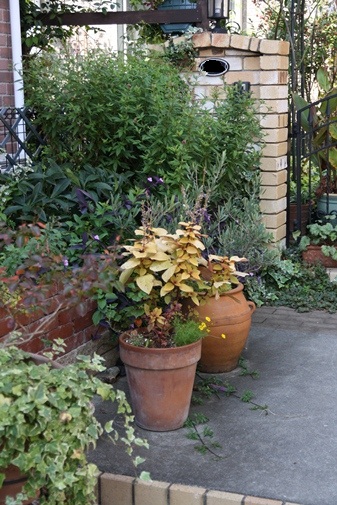 b0052394_228269.jpg