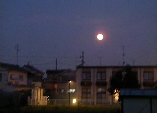 ●ムーンゴッタ・2011年10月_d0053294_23481555.jpg