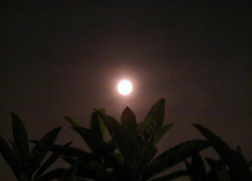 ●ムーンゴッタ・2011年10月_d0053294_23485516.jpg
