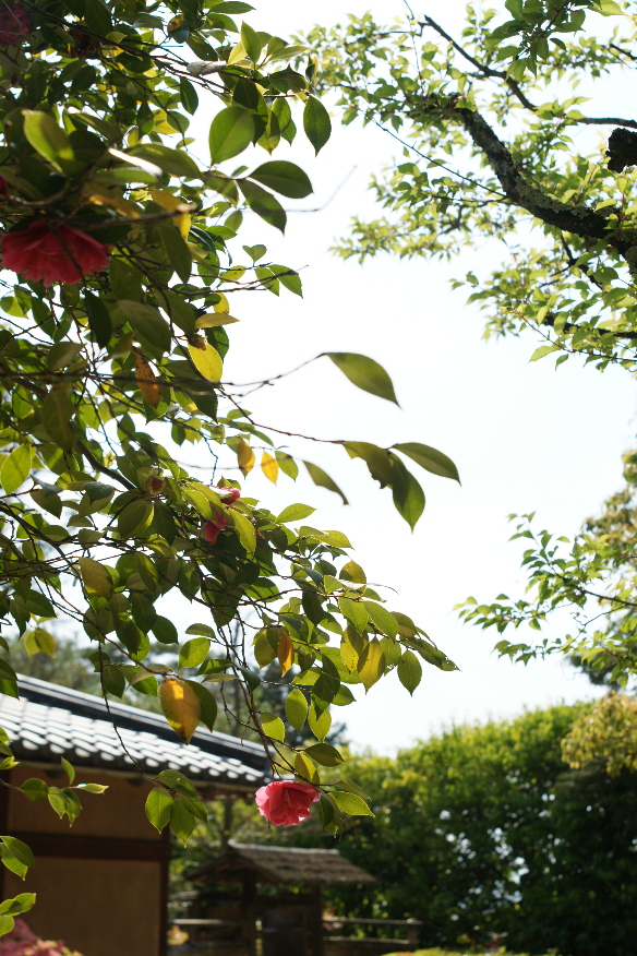 b0155395_1224892.jpg