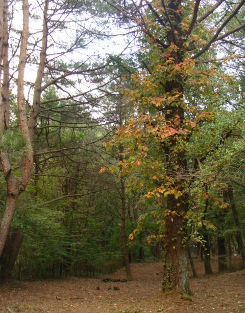 c0105295_1262352.jpg