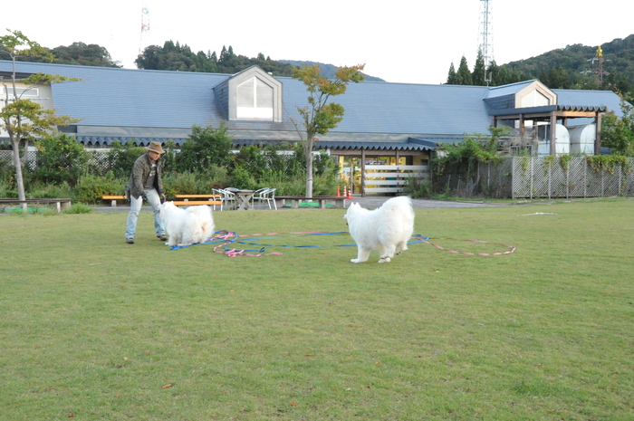 初秋のみちのくへ♪ part5_a0049296_21195676.jpg