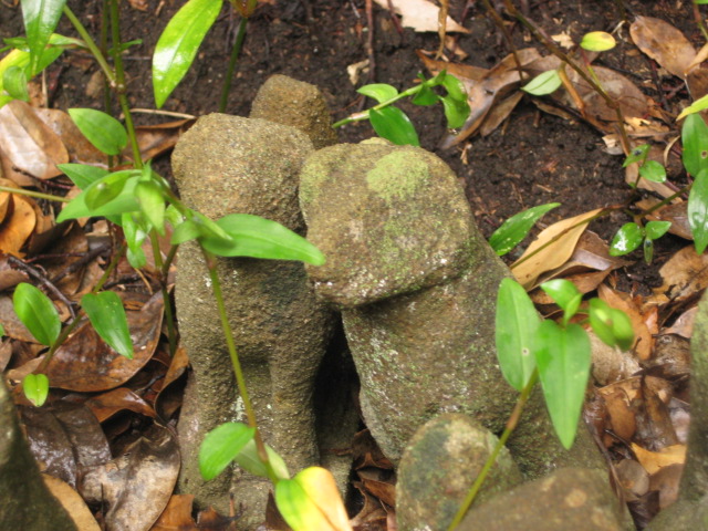 a0193698_20254421.jpg