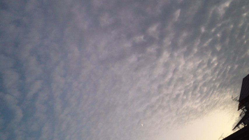 c0229500_1324664.jpg