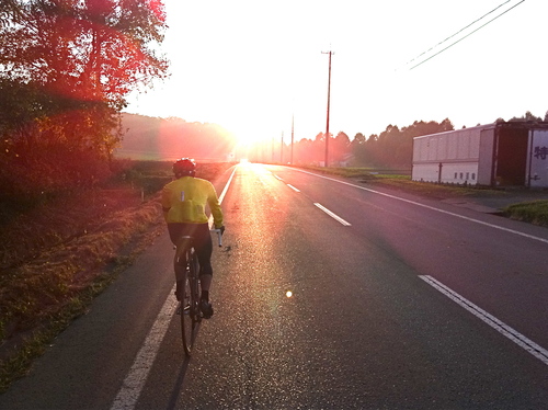 c0093101_03260.jpg