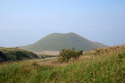 d0090101_21345121.jpg