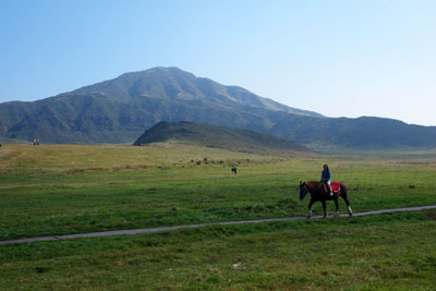 d0090101_21352324.jpg
