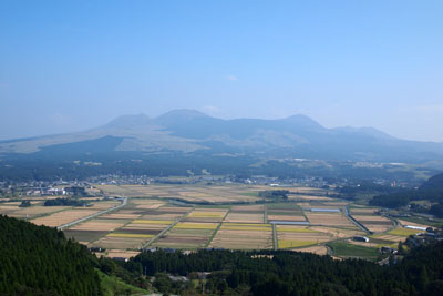 d0090101_2146561.jpg