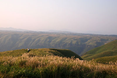 d0090101_21481264.jpg
