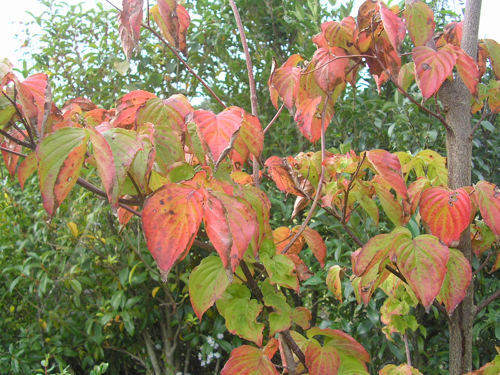 c0156104_23445033.jpg