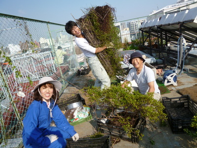 幸町ワークキャンプ!?屋上の片づけをしています☆_a0080406_136778.jpg