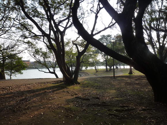 c0097309_8572690.jpg