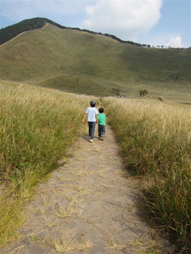 c0145209_9174840.jpg