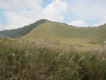 c0145209_9202890.jpg