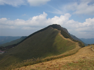 c0145209_9222247.jpg