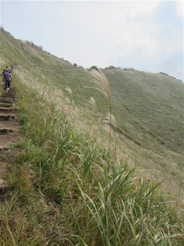 c0145209_9224883.jpg