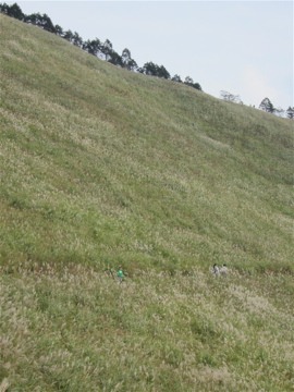 c0145209_923888.jpg