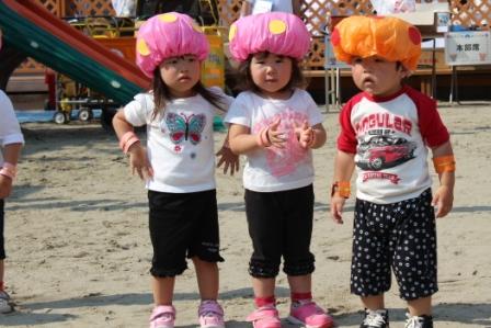 国際 変な アベニュー きのこ 帽子 Justsampark Org 国際 変な アベニュー きのこ 帽子 Justsampark Org