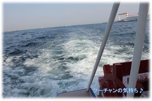 a0161111_21133654.jpg