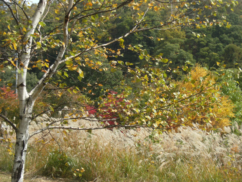 d0109415_1631737.jpg