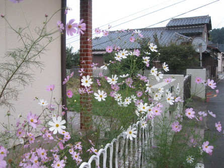 耕治へ~~☆_a0125419_2111359.jpg