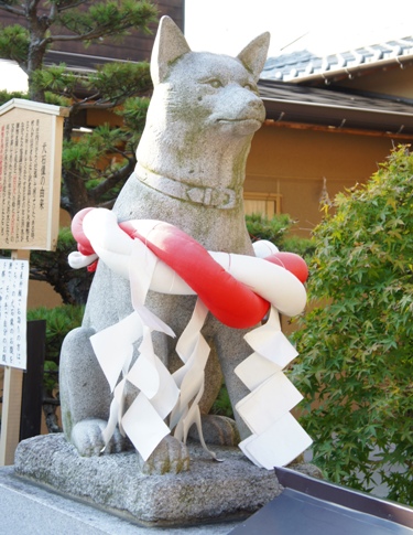 いぬ神社_c0060920_9534939.jpg