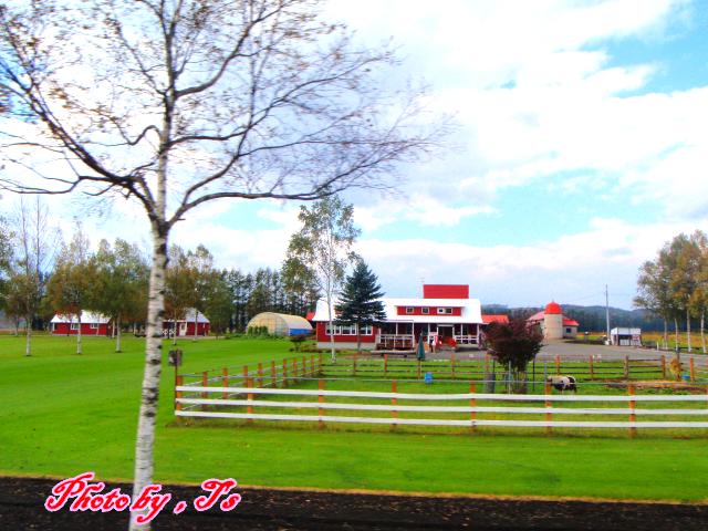 f0147821_1851763.jpg