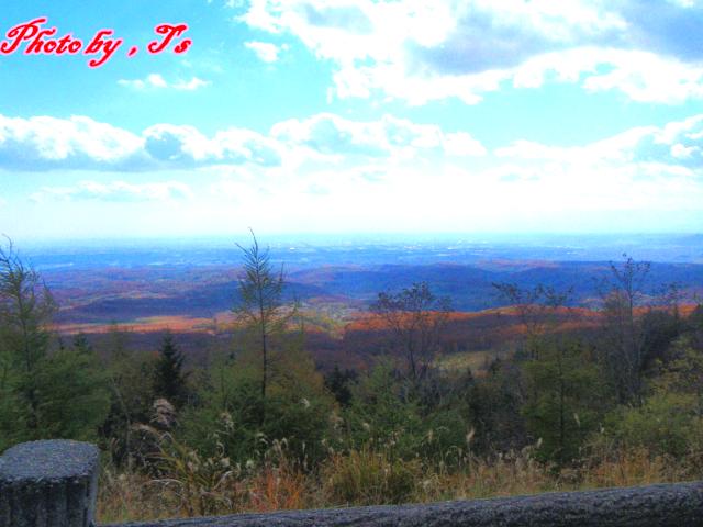 f0147821_194274.jpg