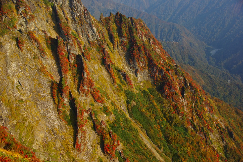 マチガ沢秋景　２-1_b0062024_8104563.jpg