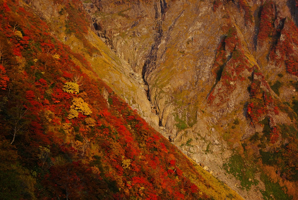 b0062024_835769.jpg