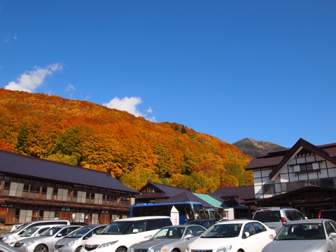 地獄沼・酸ケ湯の紅葉（青森市）*2011.10.12_b0147224_23215989.jpg