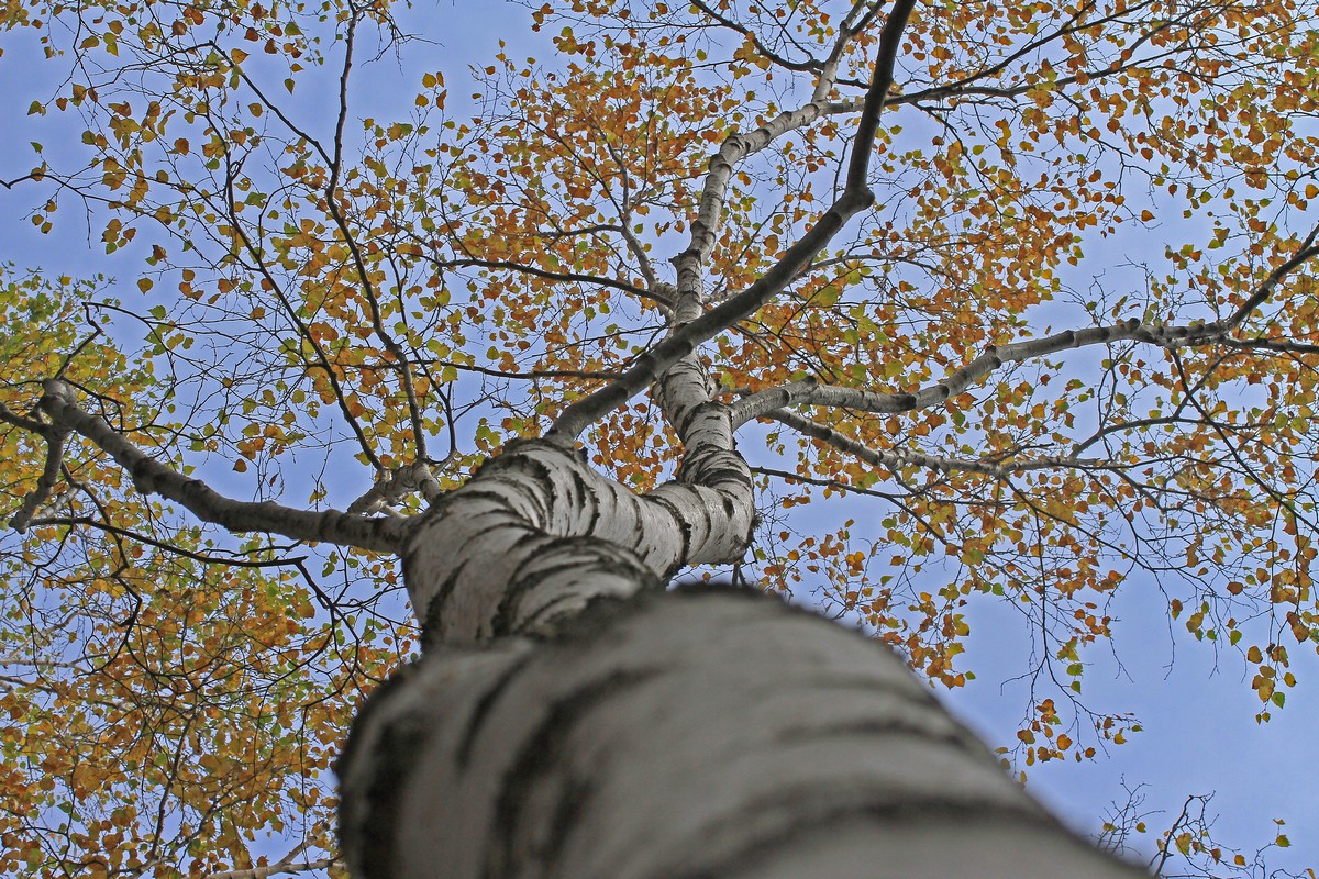 c0104227_823264.jpg