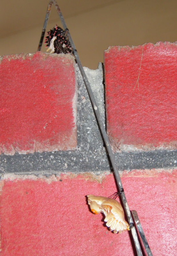f0177529_17524078.jpg