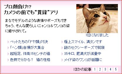 Yahoo!トップページ猫 ぽー編。_a0143140_23413239.png