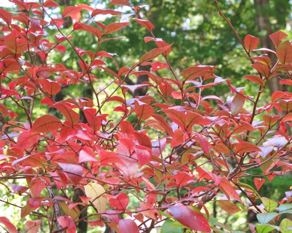 e0172840_1637263.jpg