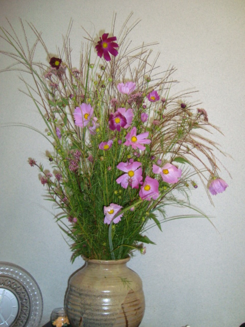 e0060041_10484461.jpg
