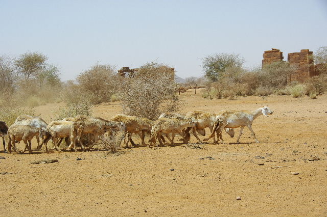 c0011649_0473755.jpg