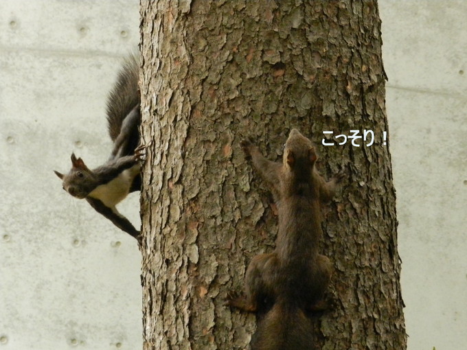 a0238350_23495930.jpg