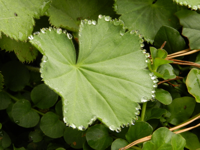 a0238350_23502357.jpg