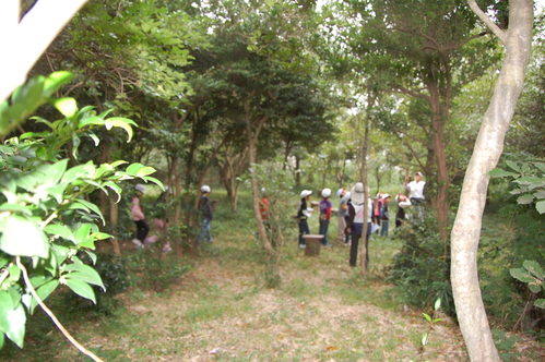 c0108460_17502620.jpg