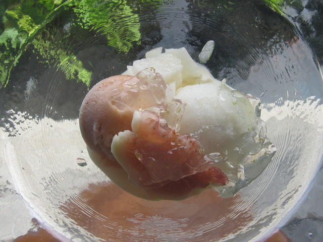d0177560_2029321.jpg