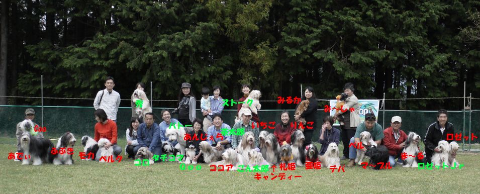 c0178861_12194991.jpg