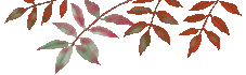e0042261_11563136.gif
