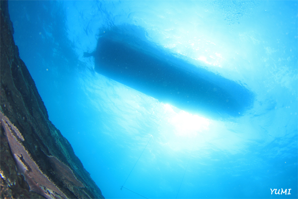 30mオーバーの海に流れてきたのは...@みなべ・田辺_e0158261_721447.jpg
