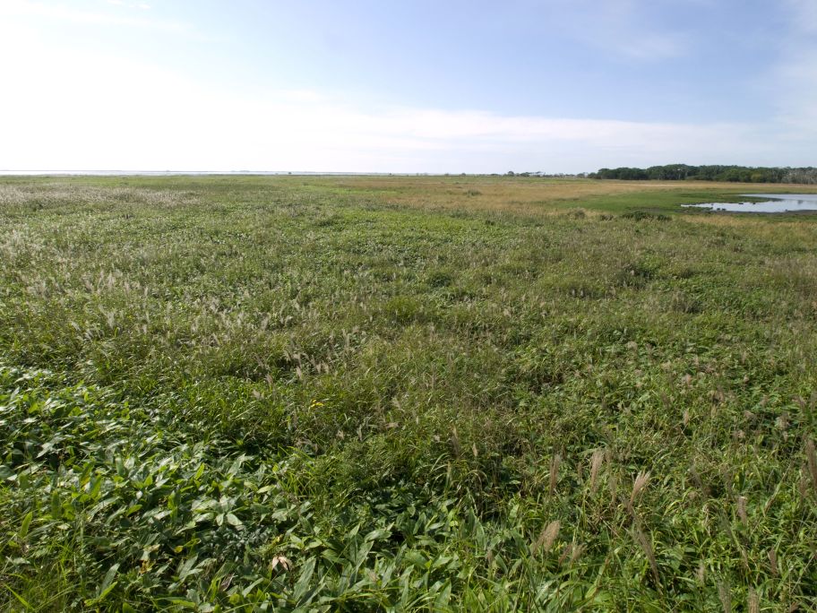 a0098864_22582240.jpg
