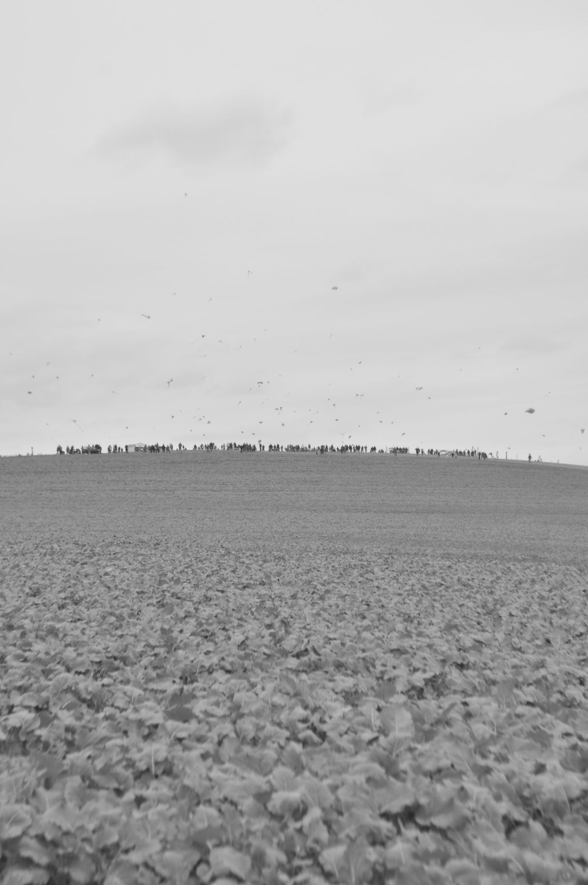 e0028272_2283145.jpg